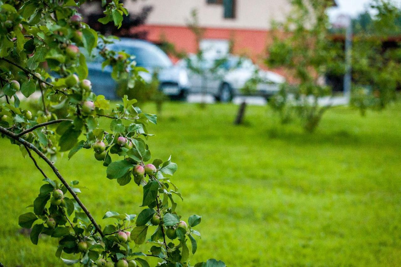 Hotel Laimnieki Augsciems Zewnętrze zdjęcie